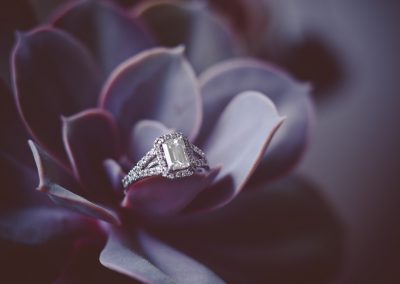 engagement ring on purple plant